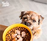 Free Dog Food Bag Offer from Tails.com
